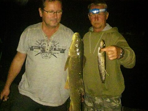 Nachts sind nicht alle Fische grau Nachts sind nicht alle Fische grau