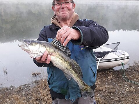 Zander geht immer Zander geht immer