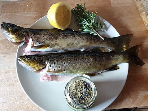 Guten Appetit Guten Appetit