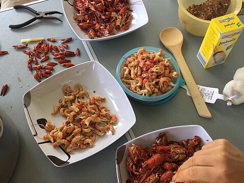 Krebse puhlen an der Zschopau Krebse puhlen an der Zschopau